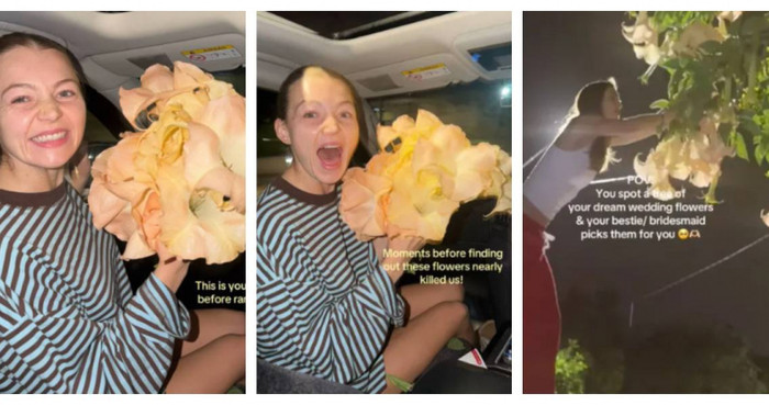 Hái hoa bên đường để làm hoa đám cưới, cô dâu phát hoảng khi biết sự thật Ảnh 1