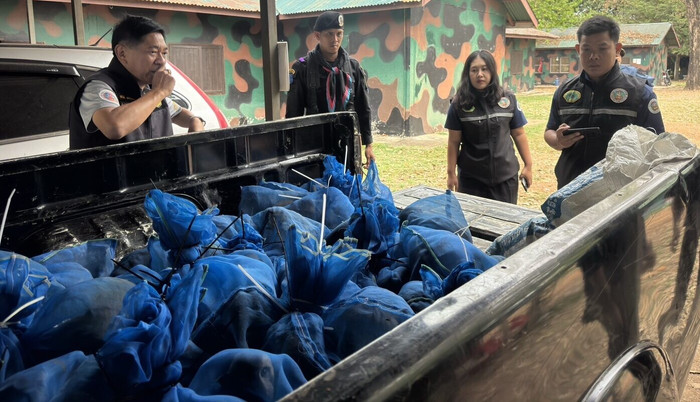 Phát hiện nhiều túi lưới ở ruộng mía, sửng sốt thứ được giấu bên trong Ảnh 4