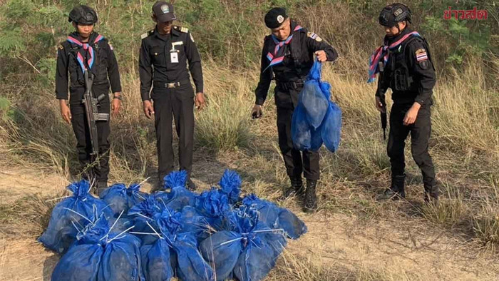 Phát hiện nhiều túi lưới ở ruộng mía, sửng sốt thứ được giấu bên trong Ảnh 1