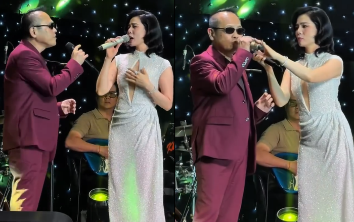 Lệ Quyên song ca cùng khán giả nước ngoài, gây chú ý với một hành động trên sân khấu Ảnh 2