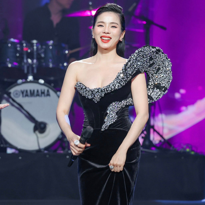 Lệ Quyên song ca cùng khán giả nước ngoài, gây chú ý với một hành động trên sân khấu Ảnh 3