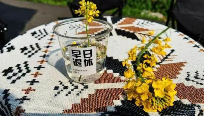 Nghỉ việc để du lịch xuyên đất nước, cặp vợ chồng mở xe cà phê lưu động kiếm tiền xăng Ảnh 2