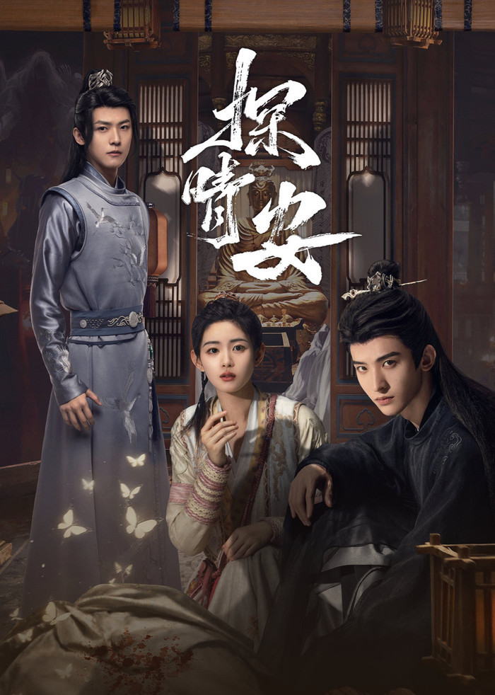 Lấy bối cảnh thời nhà Tống, bộ phim kể về hành trình phá án của một vị quan trẻ nổi tiếng liêm khiết cùng một thiếu nữ có khả năng quan sát tinh tường. Hai nhân vật lần lượt khám phá các manh mối và giải quyết những vụ án phức tạp, với sự tham gia của Lưu Học Nghĩa và Thang Mẫn.