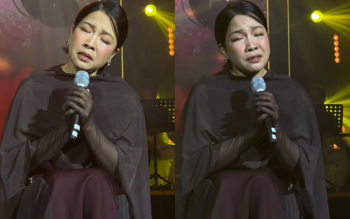 Diva Mỹ Linh bật khóc trên sân khấu Ảnh 3