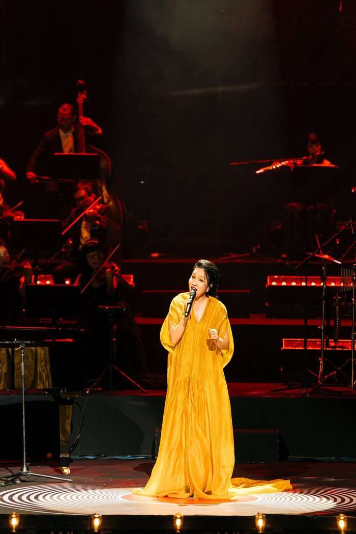 Diva Mỹ Linh bật khóc trên sân khấu Ảnh 4