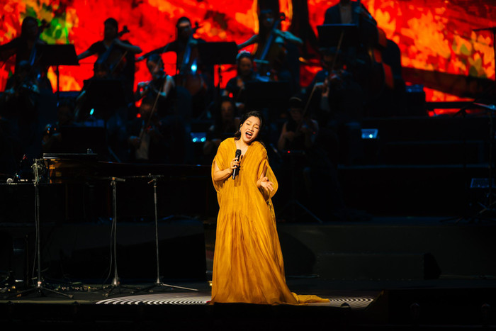 Diva Mỹ Linh bật khóc trên sân khấu Ảnh 2