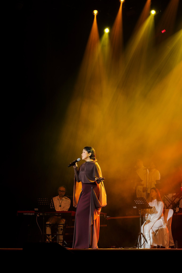 Diva Mỹ Linh bật khóc trên sân khấu Ảnh 1