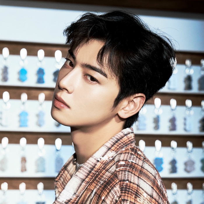 Triển lãm cá nhân của Cha Eun Woo sắp được diễn ra tại Nhật Bản.