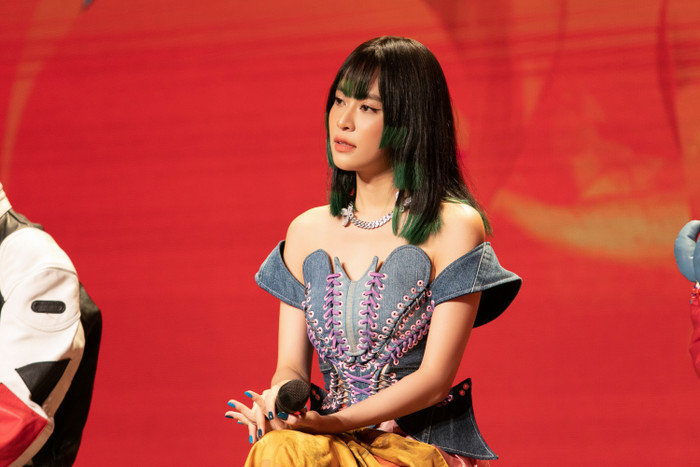 Bí mật chưa từng được Hoàng Thùy Linh công khai Ảnh 5