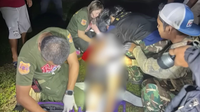 Đi vệ sinh lúc nửa đêm, ông cụ bị con thú khổng lồ đạp tử vong Ảnh 1