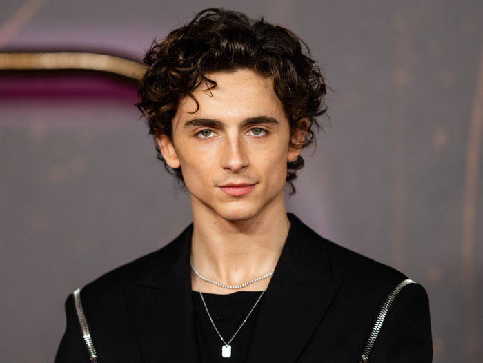 Timothée Chalamet vẫn được xem là một trong những diễn viên trẻ nổi bật của Hollywood hiện nay