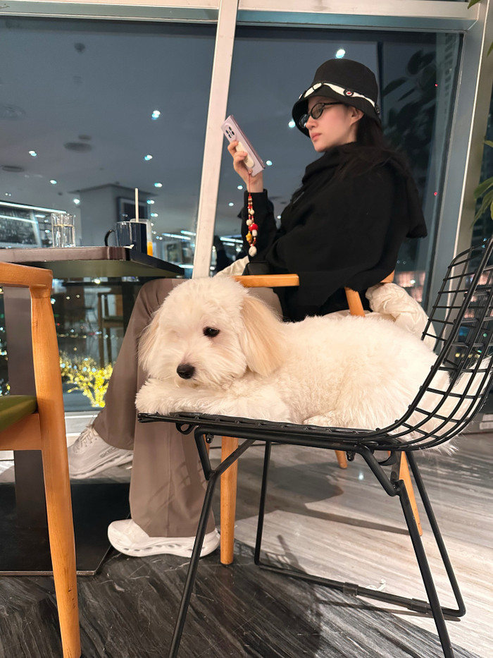 Lưu Diệc Phi vui vẻ tận hưởng cuộc sống độc thân giàu có, sang chảnh. Ảnh: IGNV