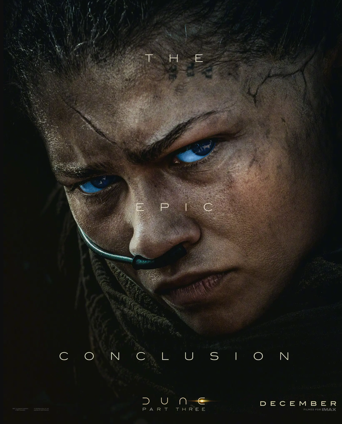 Đây là nữ diễn viên Zendaya trong vai Chani, một chiến binh quả cảm của người Fremen trên hành tinh Arrakis. - Ảnh: IMAX