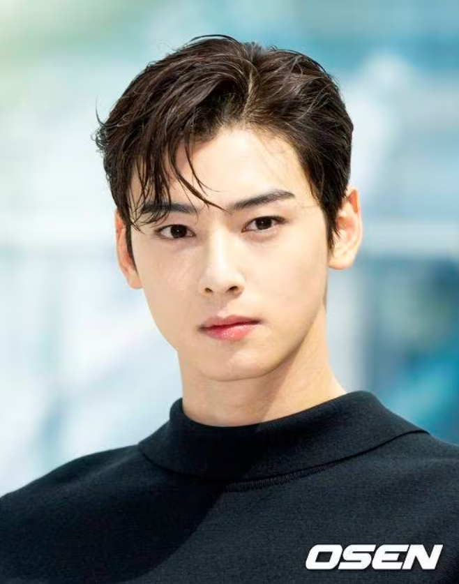 Cha Eun Woo là nhân vật trung tâm trong lùm xùm thuế gần đây