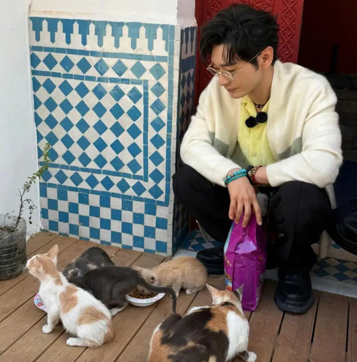 Huỳnh Hiểu Minh từng nhiều lần bày tỏ sự yêu mến dành cho mèo. Ảnh: Sohu