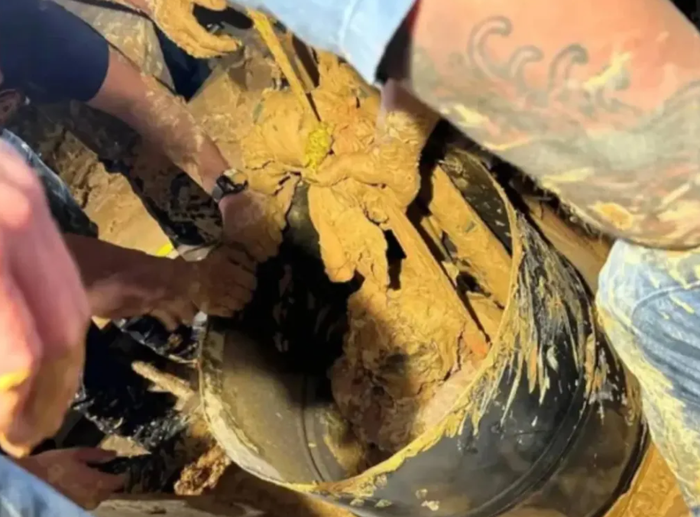 Người đàn ông mất tích suốt 10 ngày, được tìm thấy trong tình trạng khó tin Ảnh 2