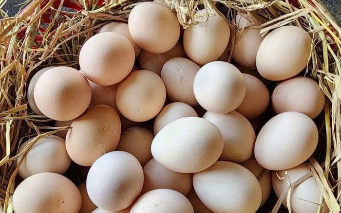 3 phần của trứng nhiều người ăn nhầm, không phải phần nào cũng tốt Ảnh 3