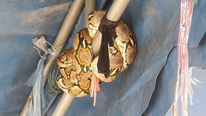 Đi dọn dẹp nghĩa trang, người dân sửng sốt trước cảnh tượng kinh hãi Ảnh 2