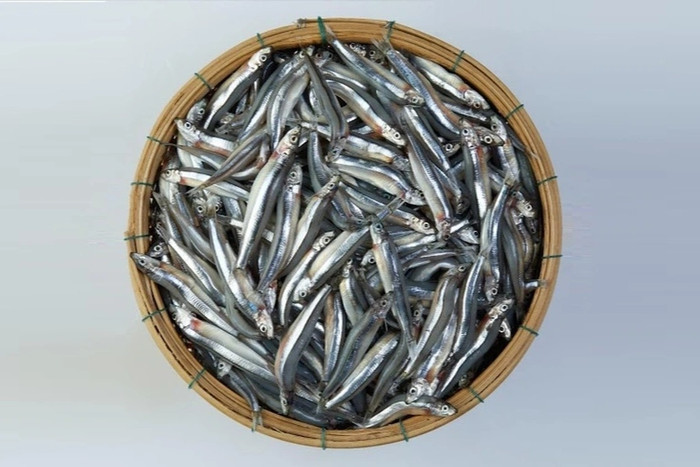 Loại cá ít ngậm thuỷ ngân nhất, là món khoái khẩu trong mâm cơm nhiều gia đình Việt Ảnh 1