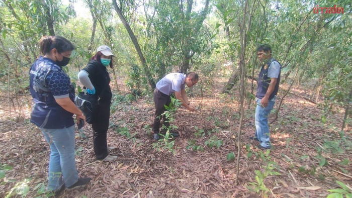 Mua đất xây nhà, người đàn ông đến kiểm tra thì phát hiện cảnh tượng hãi hùng Ảnh 1