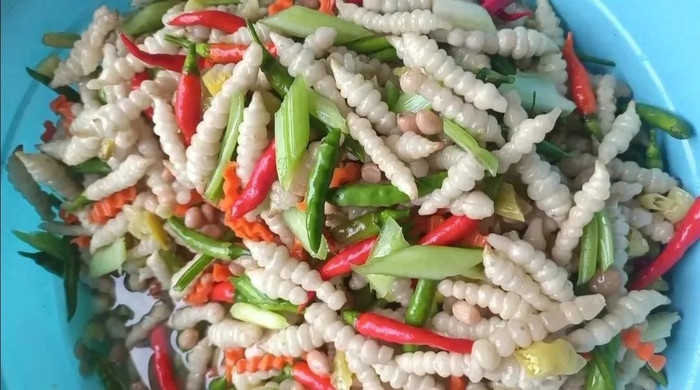 Củ sùng thảo thường được dùng để muối chua.