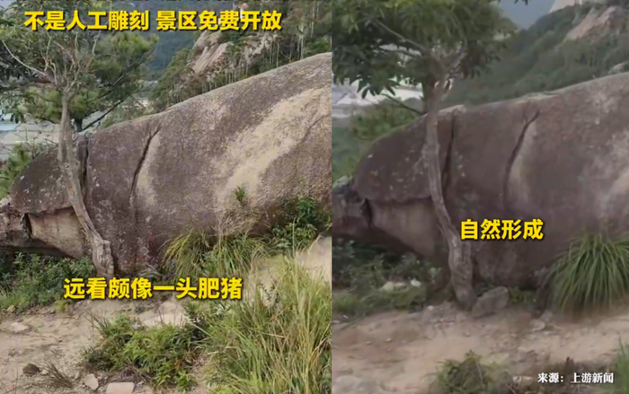 Phát hiện 'lợn đá nghìn năm tuổi' giống hệt Trư Bát Giới, người dân xôn xao Ảnh 2