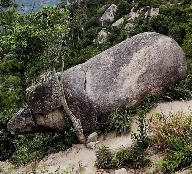 Phát hiện 'lợn đá nghìn năm tuổi' giống hệt Trư Bát Giới, người dân xôn xao Ảnh 1