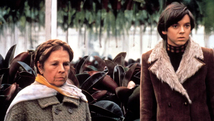Bud Cort trong Harold and Maude, vai diễn mang tính biểu tượng