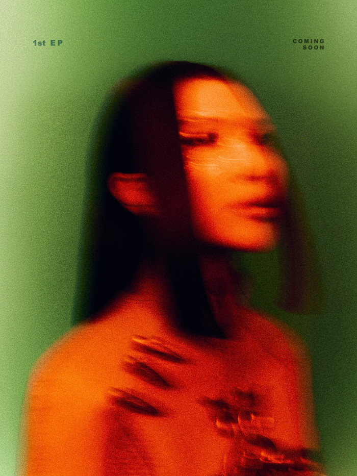 Quỳnh Anh Shyn đáp trả khi bị phản đối việc đi hát: 'Dược sĩ hát thì chúng tôi cũng hát' Ảnh 1