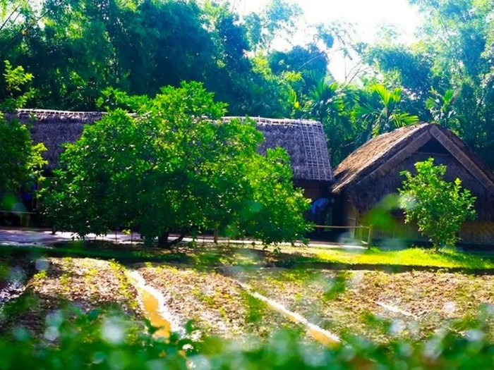 Về quê Hồ Văn Cường đi dạo một ngày ở làng Sen: Không ồn ào nhưng đủ khiến người ta lắng lại Ảnh 5