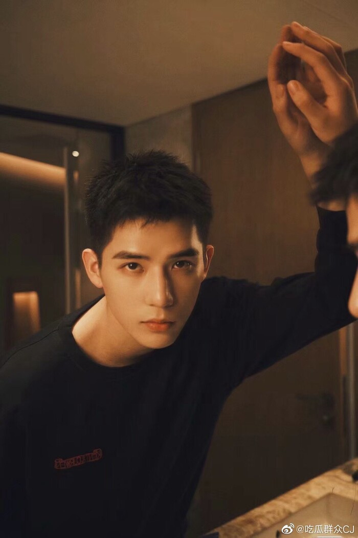 Sở hữu gương mặt hài hòa cùng khí chất vừa nam tính vừa trẻ trung, Vương An Vũ dần khẳng định sức hút qua nhiều vai diễn. Anh thường được nhận xét có cảm giác tổng tài nhưng vẫn giữ được nét tươi mới của lứa diễn viên trẻ.