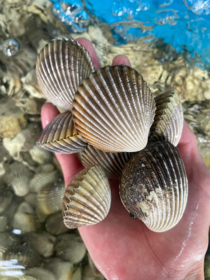 Loại đặc sản có tên dễ khiến thực khạch bật cười. (Ảnh minh họa từ Internet)