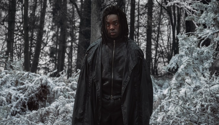 Tạo hình Snape và Dumbledore gây tranh luận mạnh mẽ trong cộng đồng fan