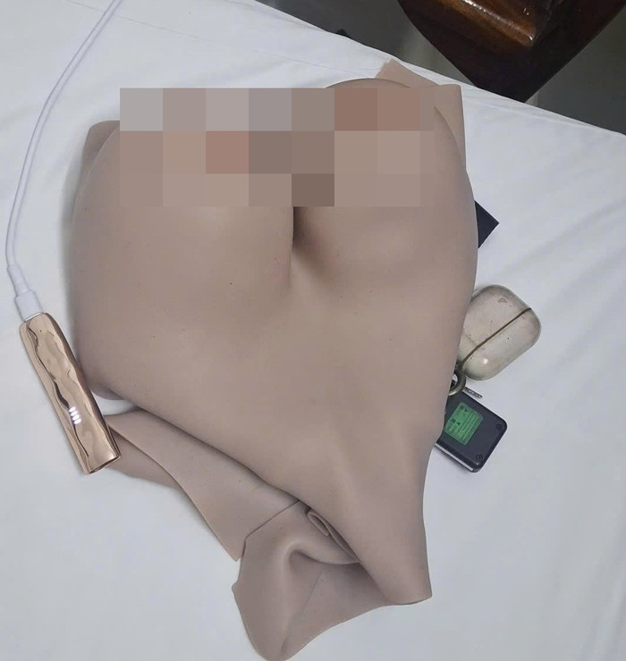 Phan Ngọc Gia Huy bị bắt Ảnh 2