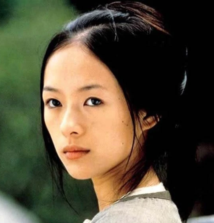 Sau thành công của 'Ngọa hổ tàng long', người hâm mộ háo hức chờ đợi màn tái ngộ giữa Chương Tử Di và vị đạo diễn tài ba. - Ảnh: Sohu