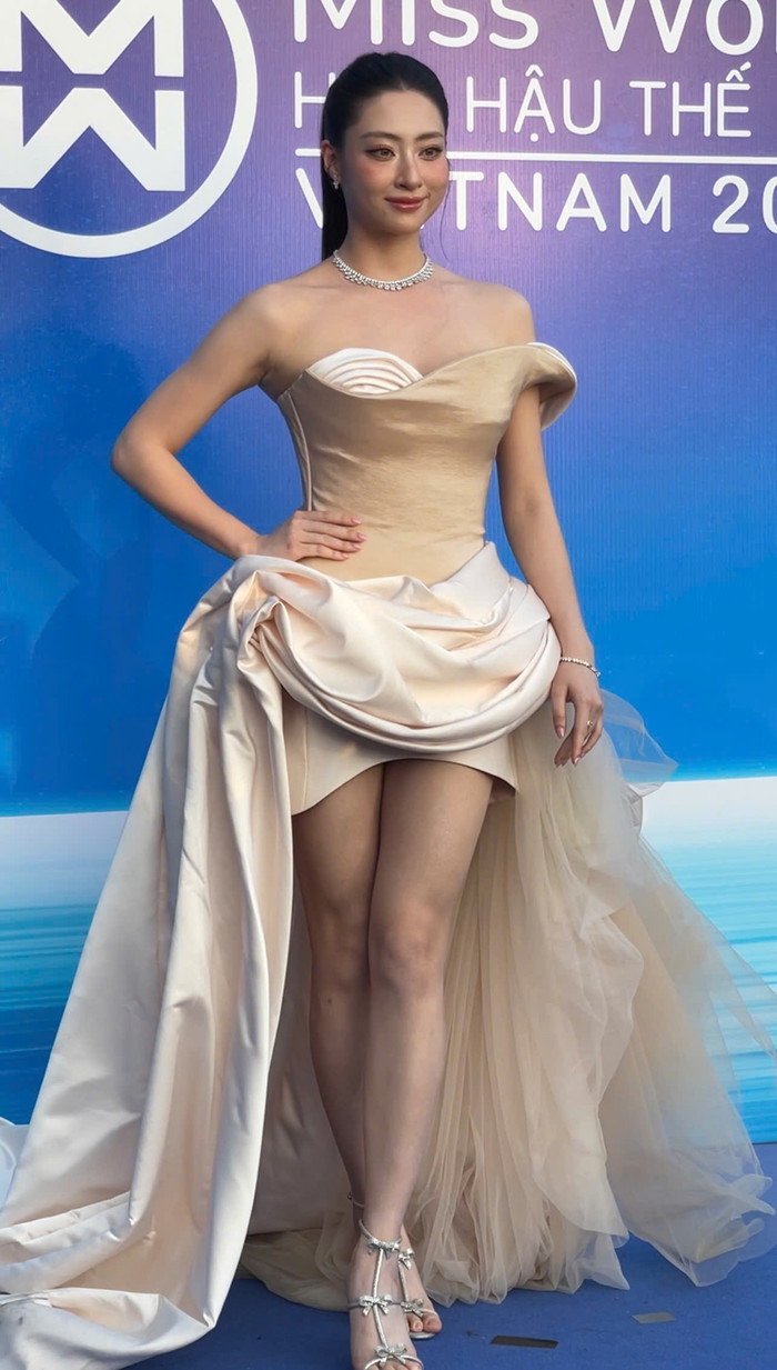 Hoa hậu Lương Thuỳ Linh.