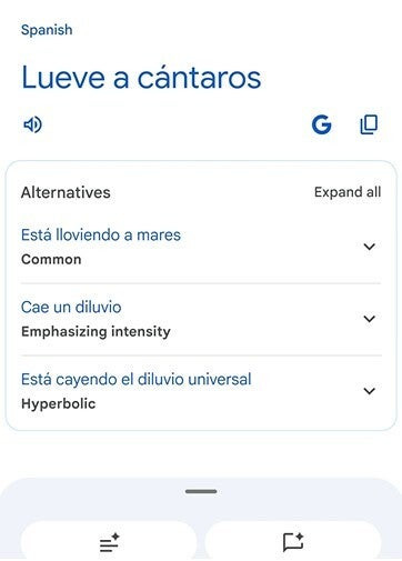 Screenshot shows one new feature for the Google Translate app.