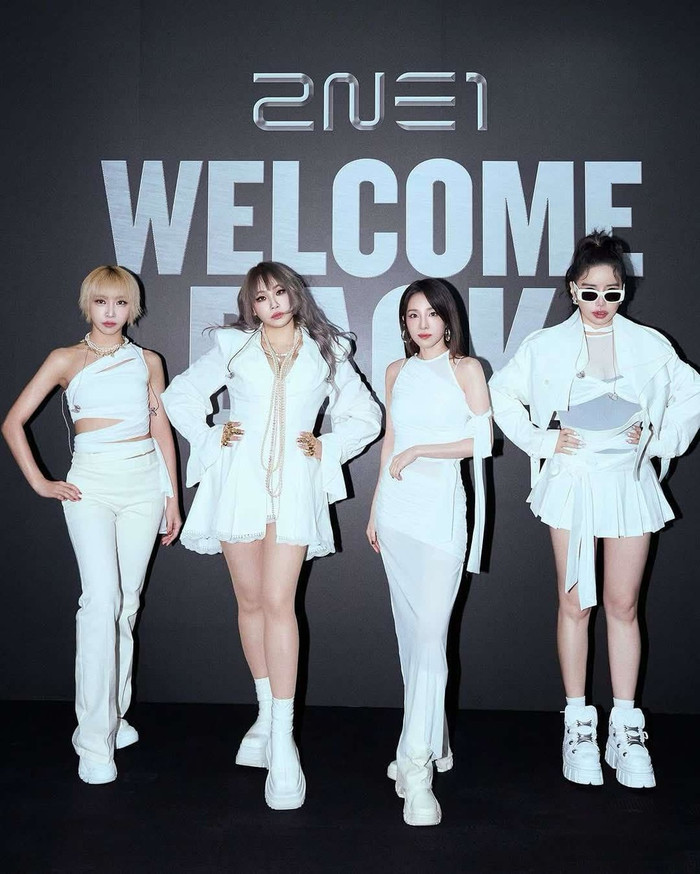 Phía Park Bom lên tiếng về bức thư tố cáo Dara Ảnh 3