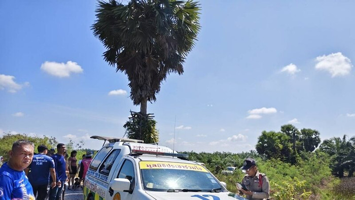 Leo cây thốt nốt để hái quả làm đường, bà cụ 73 tuổi gặp sự việc thương tâm Ảnh 1