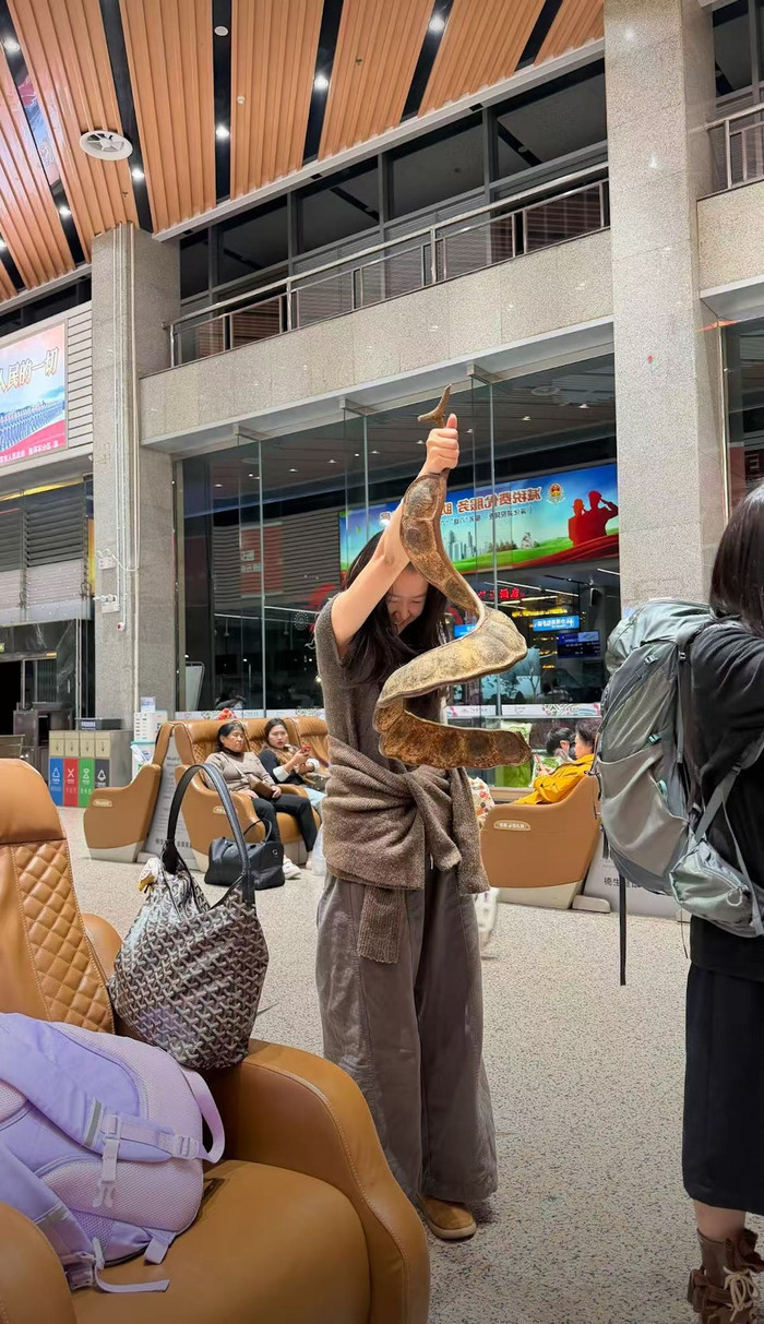 Cô gái mang loại quả khổng lồ lên máy bay, hành khách xôn xao Ảnh 3