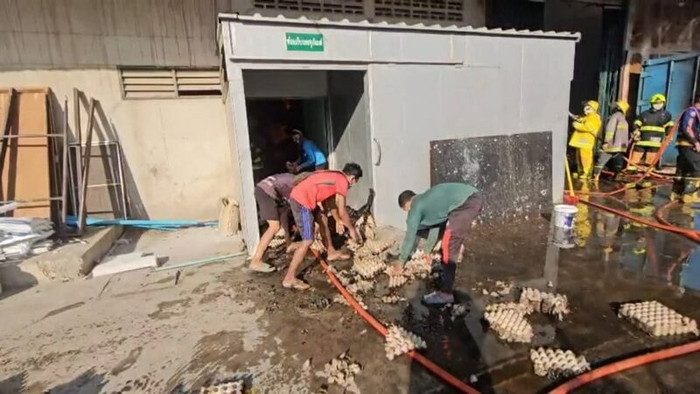 Nhà máy trứng gà bốc cháy dữ dội, hàng trăm nghìn quả trứng bị thiêu rụi Ảnh 4