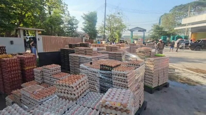 Nhà máy trứng gà bốc cháy dữ dội, hàng trăm nghìn quả trứng bị thiêu rụi Ảnh 3