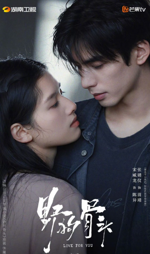 10 dự án phim Hoa ngữ dài tập đình đám nhất năm 2026 Ảnh 10