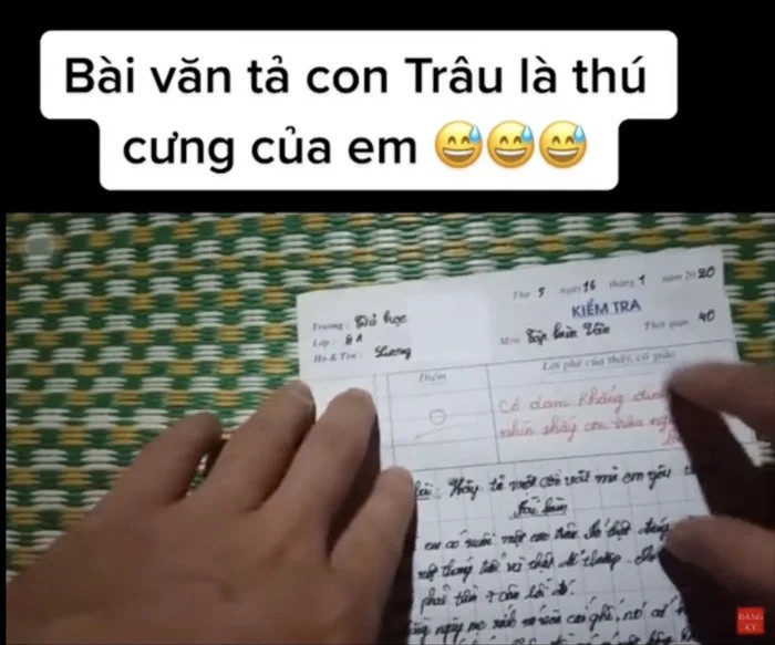 Bài văn tả con trâu gây chú ý trên mạng xã hội.