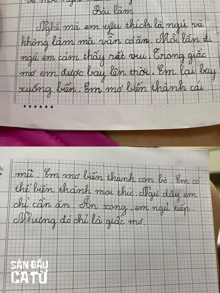 Hình ảnh về bài văn khiến dân mạng cười ngất. Nguồn: Sàn đấu ca từ