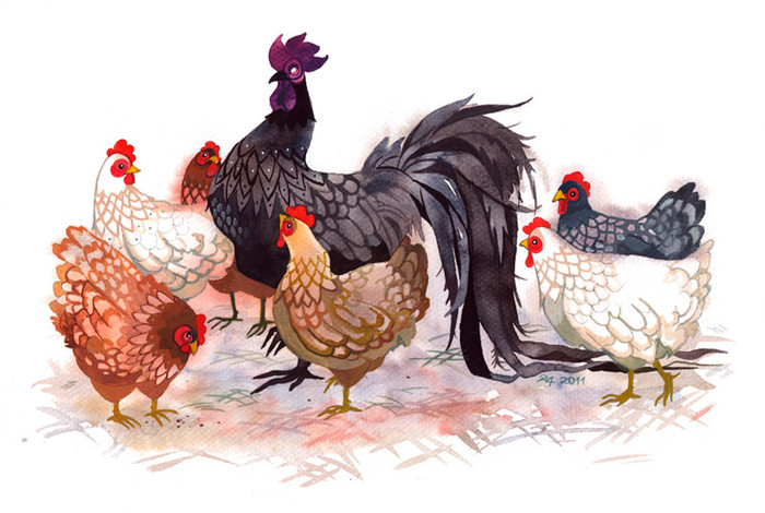 Những con giáp nào nên 'án binh bất động' để tránh rắc rối không đáng có? Ảnh 3