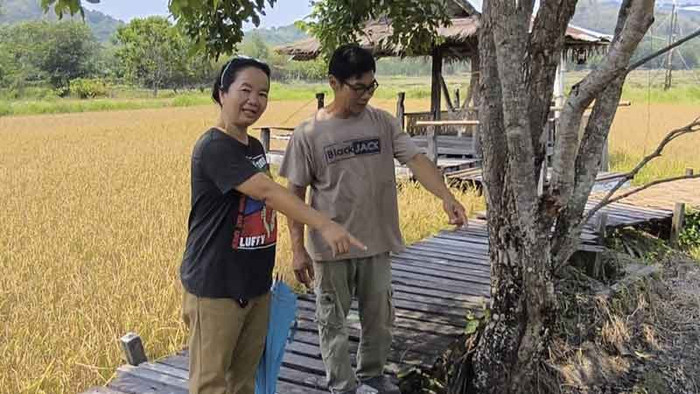 Người phụ nữ bắt được con lươn màu vàng cực hiếm, dân làng đổ xô đến xem Ảnh 2