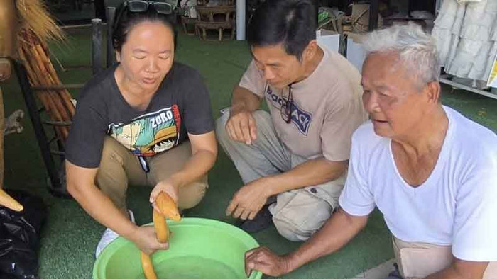 Người phụ nữ bắt được con lươn màu vàng cực hiếm, dân làng đổ xô đến xem Ảnh 4