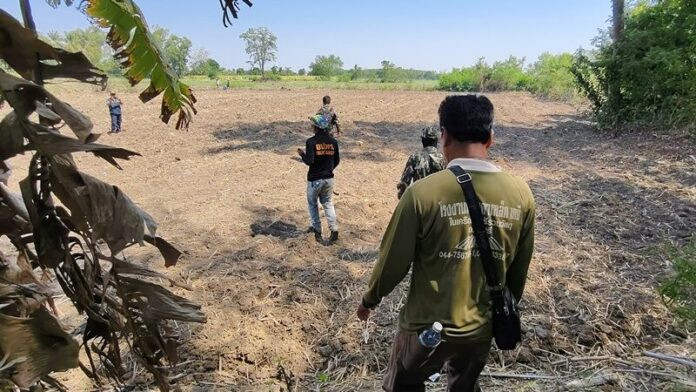 Sinh vật bí ẩn tàn phá hàng chục cây chuối, người dân lo lắng khi xem lại camera Ảnh 1