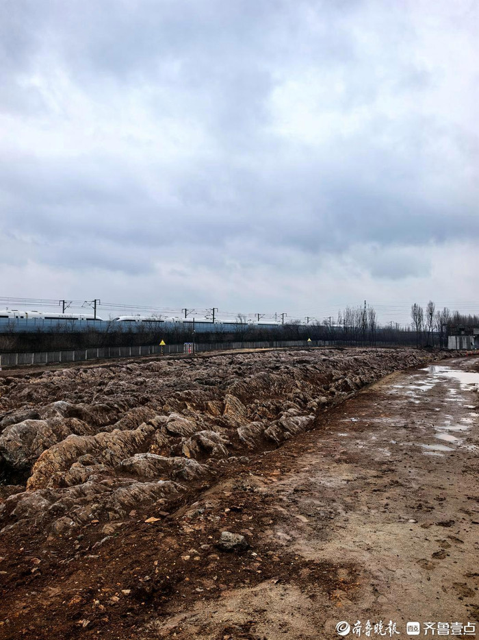 Đào móng xây ga cao tốc, công nhân bất ngờ phát hiện kỳ quan 500 triệu năm trước Ảnh 3